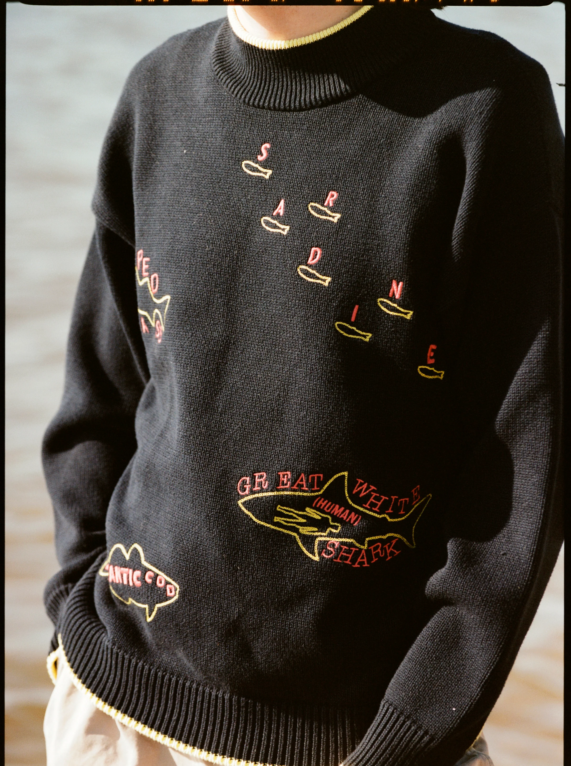 'Fishes of the North Atlantic' Sweater - Image 6