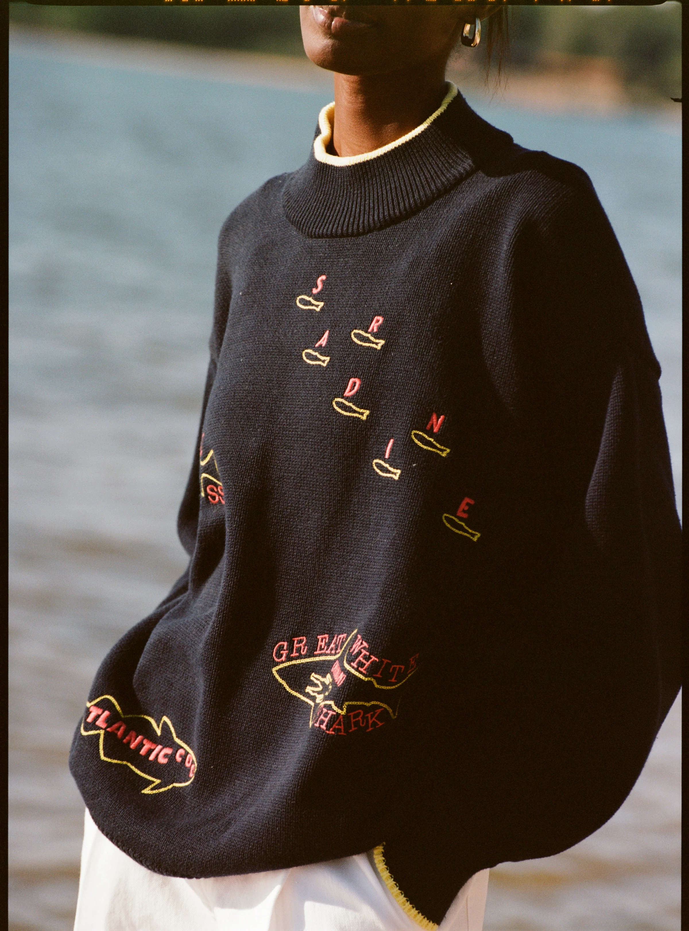 'Fishes of the North Atlantic' Sweater - Image 7