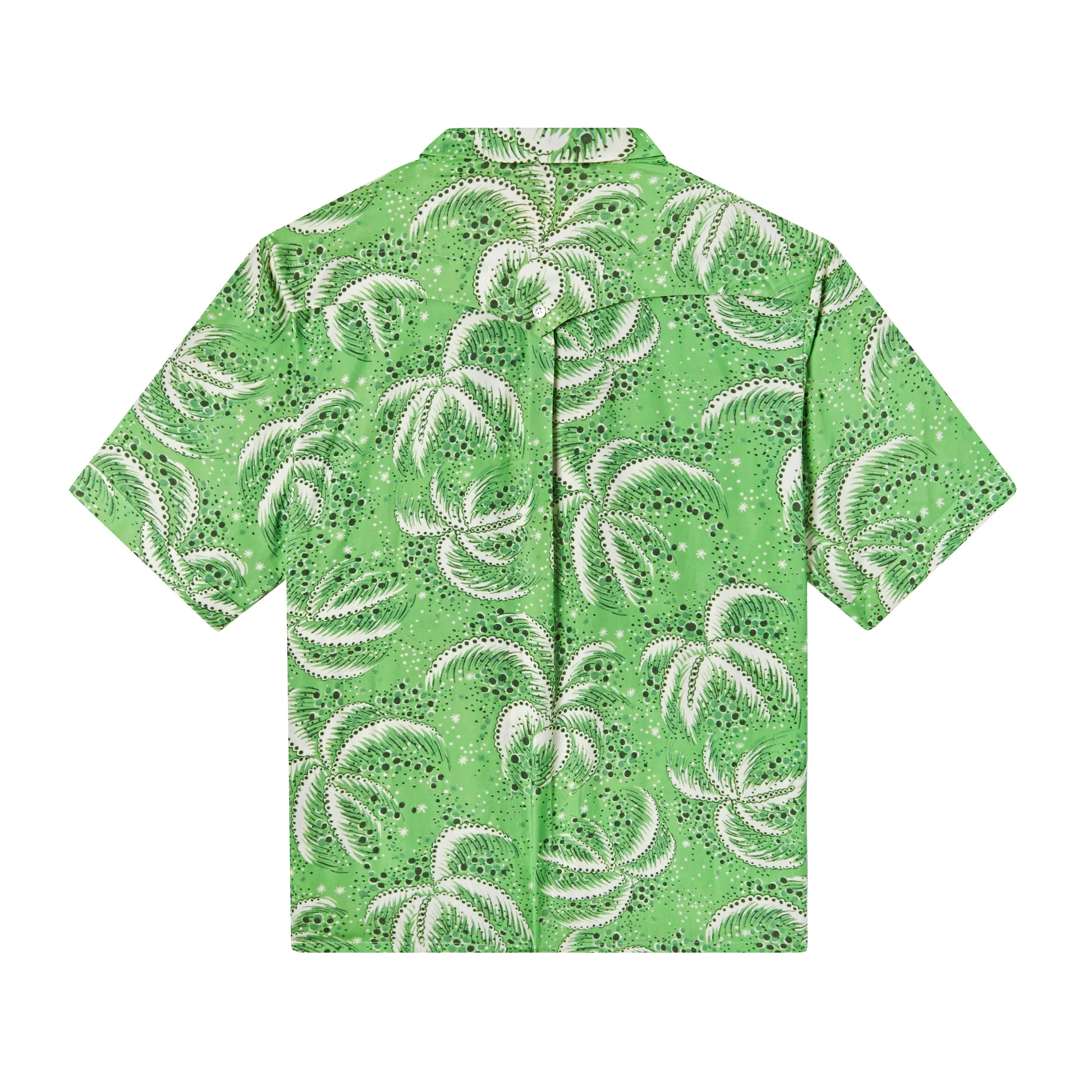 Palm Fronds (Green) - Image 3